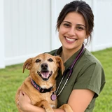 Dr. Sarah Jenkins, DVM, MS, DACT